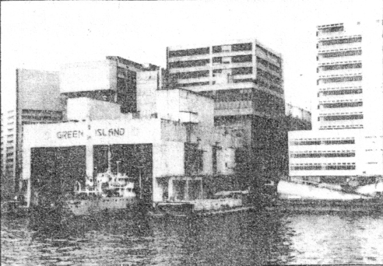 Hok Un Plant 1984